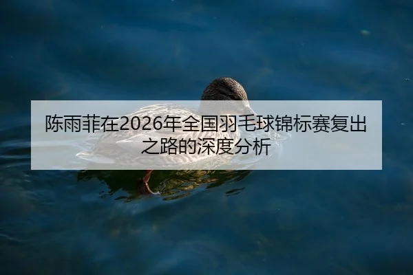 陈雨菲在2026年全国羽毛球锦标赛复出之路的深度分析