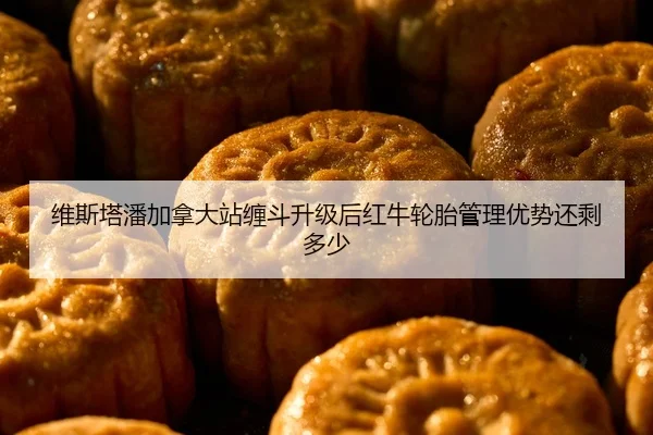 维斯塔潘加拿大站缠斗升级后红牛轮胎管理优势还剩多少