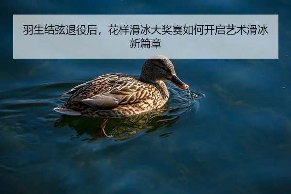 羽生结弦退役后，花样滑冰大奖赛如何开启艺术滑冰新篇章